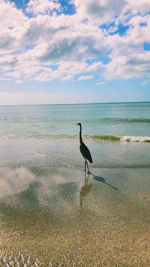 Holiday Isles Resort Madeira Beach Bagian luar foto
